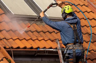 Démoussage et hydrofuge de toiture à la Chambonie